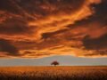 Serene landscape with a single tree against a dramatic orange twilight sky.