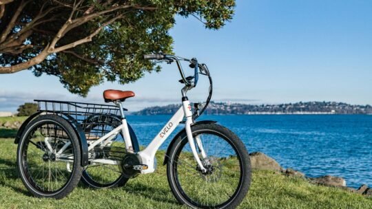 Electric tricycle resting by the water in Seattle, ideal for leisurely rides.