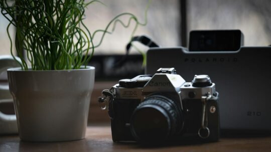 A classic Canon AE-1 camera with Polaroid 210 beside a potted plant on a wooden indoor table.