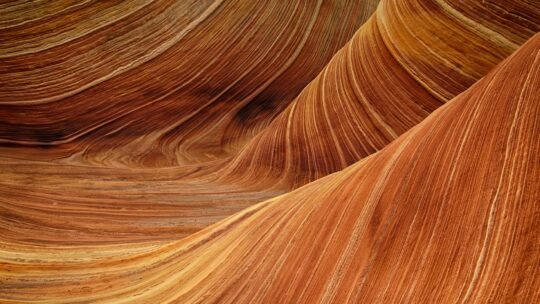 Breathtaking view of the vibrant undulating sandstone formations in The Wave, Arizona.